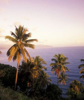 Beautiful pictures of  Comoros