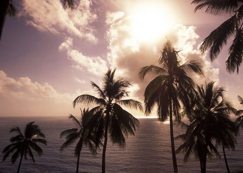 Beautiful pictures of  Comoros