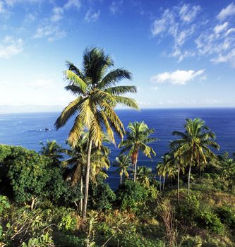 Beautiful pictures of  Comoros