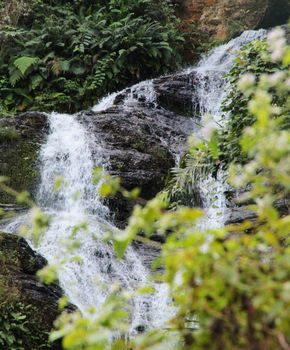 Beautiful pictures of  Comoros