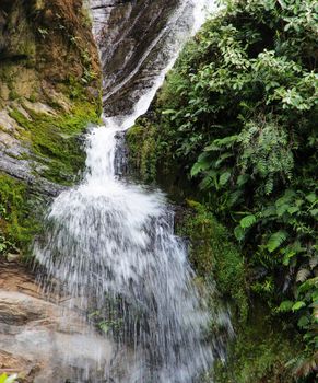 Beautiful pictures of  Comoros