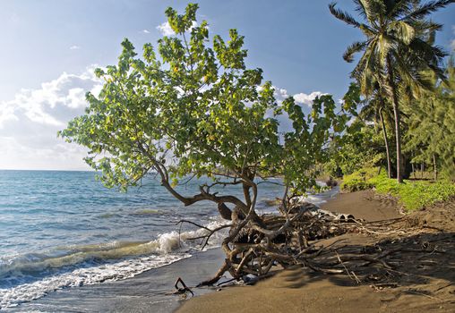 Beautiful pictures of  Comoros