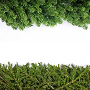 Natural noble and classic fir Christmas tree border frame isolated on white , copy space for text