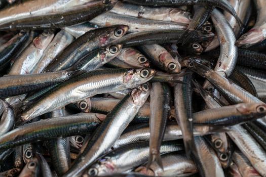 Fresh anchovies fish on ice at the seafood market,healthy life concept, diet.