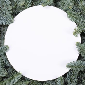 Natural fir Christmas tree round border frame isolated on white , copy space for text