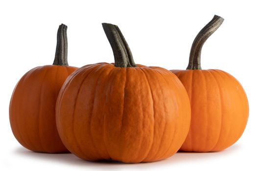 Three big orange pumpkins closeup isolated on white background