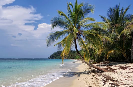 Beautiful pictures of Costa Rica