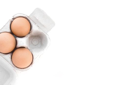 Disposable four pack egg tray. Organic Egg Pack. Isolated with copy space.