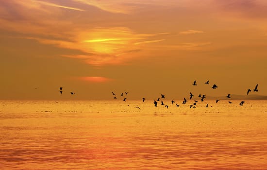 Beautiful pictures of Croatia