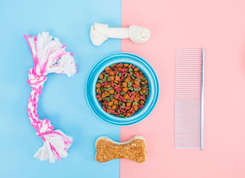 Pet food in bowls with bone, toy, for pets on color background.