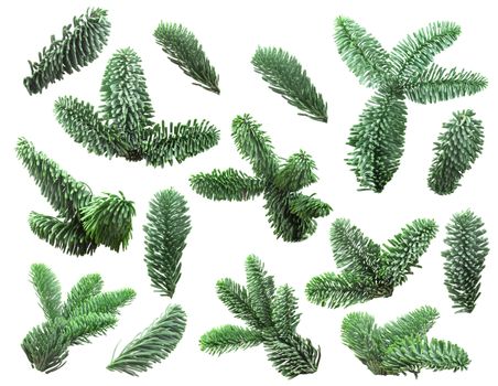 Collection set christmas noble fir tree branch isolated on white background new year design element