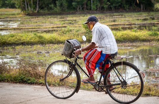 Galle, Southern Province / Sri Lanka - 10 24 2020: Old grandpa with face mask ride a bicycle near a rice paddy field in a rural village in Galle.