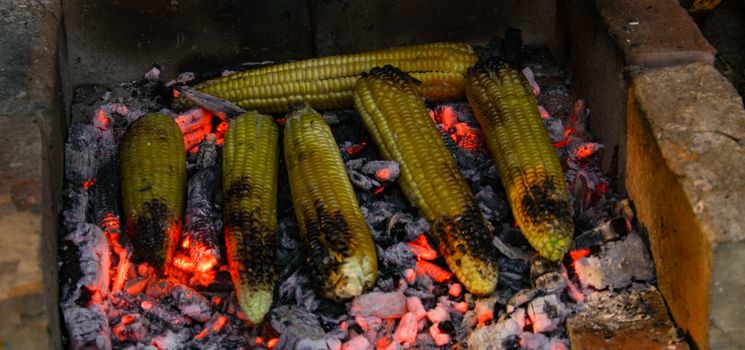 Burnt corn on the cob. Roasting corn on the cob at night on summer days. Summer nights by the fire. Zavidovici, Bosnia and Herzegovina.