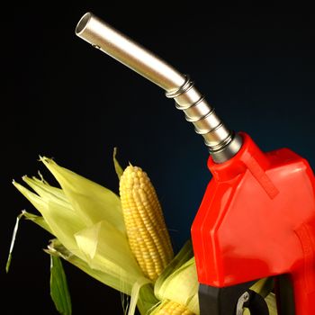 A corn based fuel concept with a gas pump and gradient background.