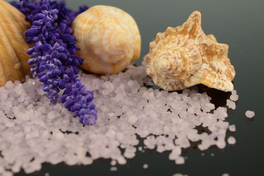 Lavender bath salts with seashells to compliament the spa scene.