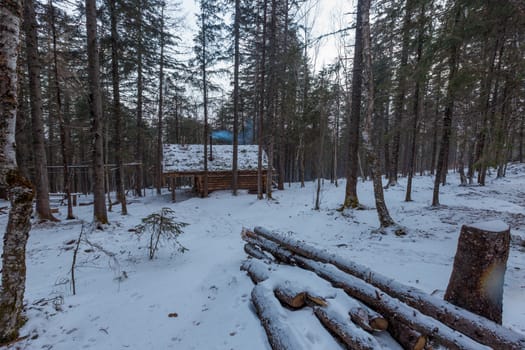 The pristine nature of the Zeya reserve. A wooden winter hut stands among the taiga