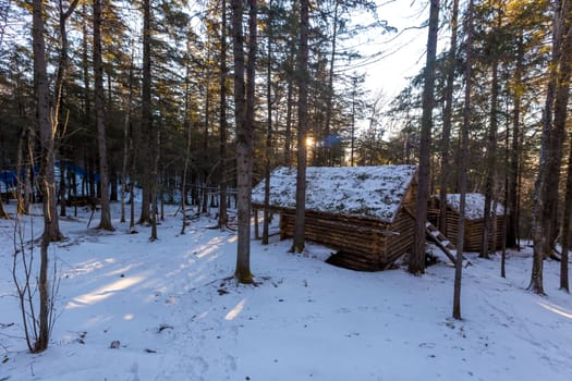 The pristine nature of the Zeya reserve. A wooden winter hut stands among the taiga