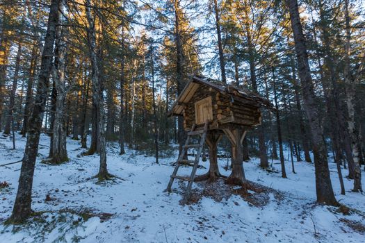 A wooden hut mounted on high piles to protect against a bear