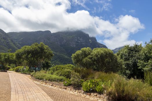 Mountains and trails Kirstenbosch National Botanical Garden, Cape Town, South Africa.