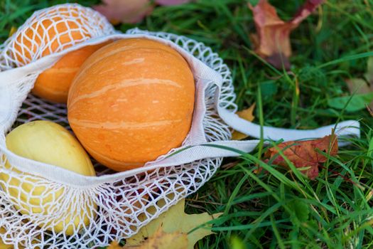 Pumpkins in reusable shopping eco-frendly mesh bag on autumn fallen leaves background.