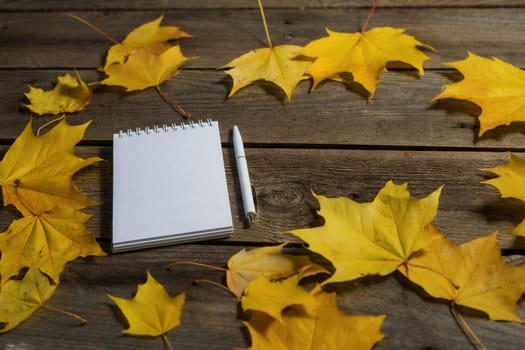 .Autumn fallen leaves and office supplies on wooden background