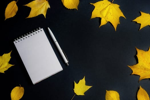 .Autumn fallen foliage and notebook on black background