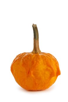 One small unusual orange pumpkin isolated on white background , Halloween concept