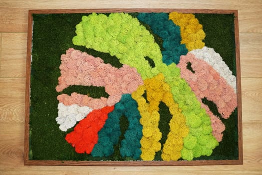 picture of colored stabilized moss close up