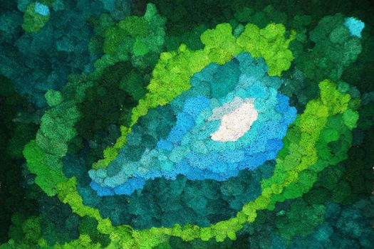 multicolored stabilized moss on the wall as an interior decoration close up