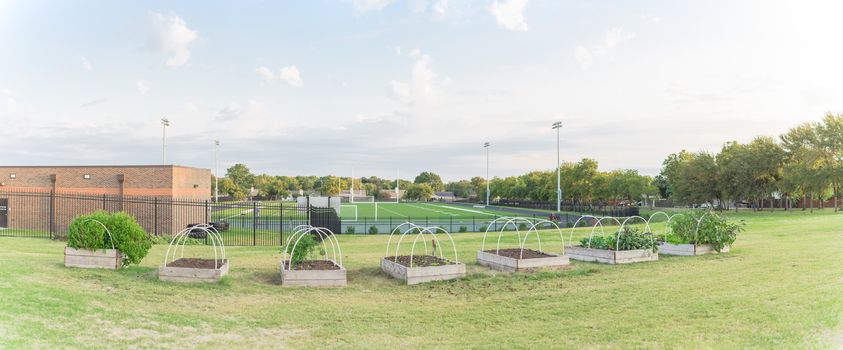 Panorama view row of raised bed garden with PVC pipe for cold frame support at elementary school near Dallas, Texas, America. School gardening football field stadium with running tracks