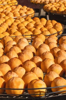 Making process of sun exposuring drying peeled dried persimmon in a sieve, autumn preserved food concept.