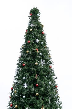 Christmas tree isolated on white background.