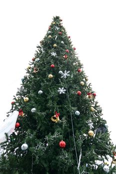 Christmas tree isolated on white background.