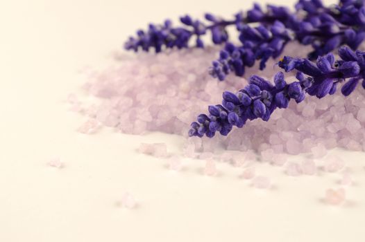 A closeup of fresh lavender and bath salts over a white background.