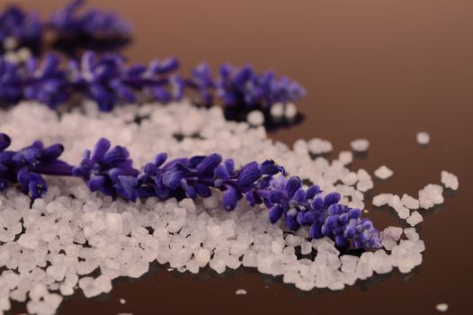 A closeup shallow dof image of fresh lavender and bath salts.