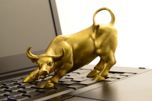 A brass bull and laptop for concepts related to the upwards market trends.