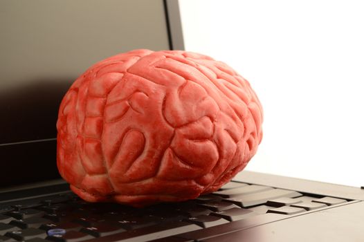 A brain and laptop to conceptualize on computer technology and cognitive thinking.