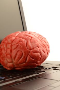 A brain and laptop to conceptualize on computer technology and cognitive thinking.