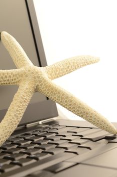 A starfish on a laptop for online travel bookings.