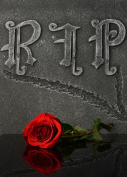 A closeup composition of a fresh red rose laying ontop of a gravestone to show love and respect to the deceased.