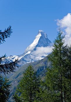 The Matterhorn in the swiss alps behind some trees