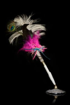 An isolated over a black background feather pen for signatures and writing.