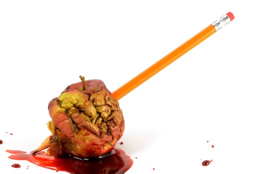 A closeup of one bad apple being stabbed by a pencil with blood spilling.