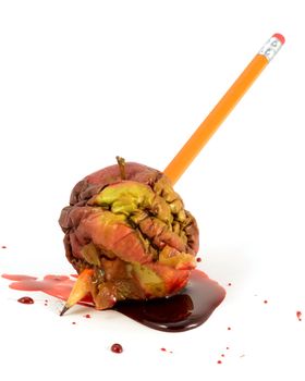 A closeup view of one bad apple being stabbed by a pencil with blood spilling.