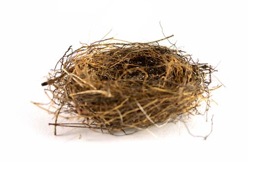 An isolated over white image of an empty birds nest.
