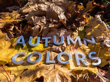 the words autumn colors laid with metal letters over yellow autumn fallen leaves - closeup with selective focus.