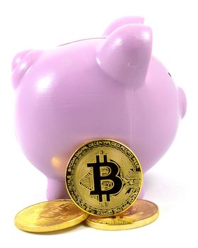 An isolated over white background image of a profile piggy bank with a few gold Bitcoins for several financial concepts related to cyrptocurrency.