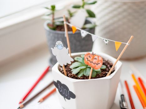 Hand drawn Halloween 2020 decorations in flower pots with crassula succulent plants. Ghost in medical protective mask and pumpkins in flower pot. Cozy home.