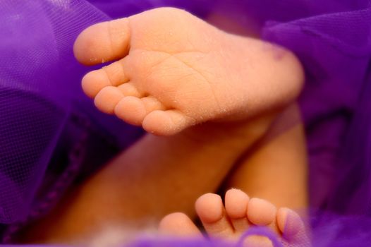 Closeup image of a new born baby girls softly focused bottom of the feet showing her healthy soles.