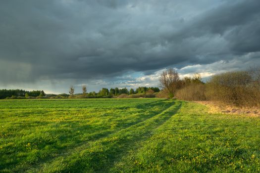 Grassy road through the green meadow and rainy cloud, view on a sunny spring evening